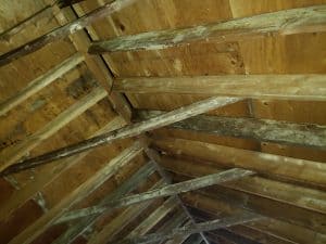 Maryland Home Inspection Water Damage Mold Attic