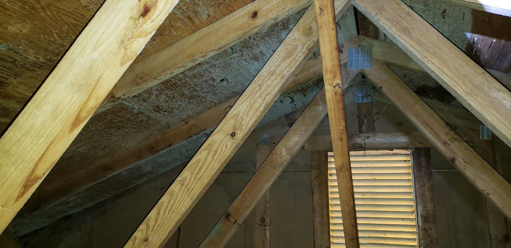 Maryland Attic Inspection apparent mold